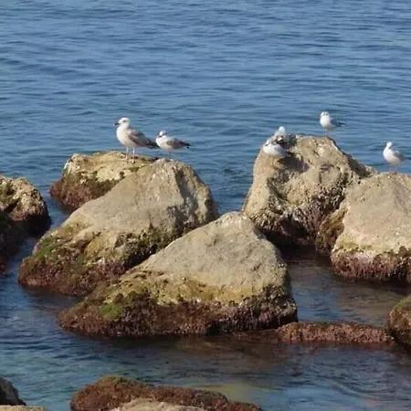 Bord De Mer ル・トレポール